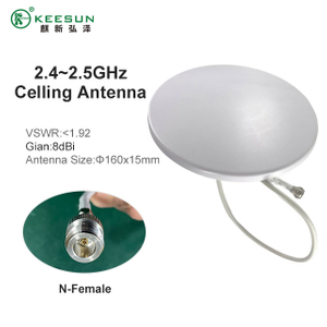  Pain&eacute;al Seachtrach Antenna Treorach 2.4G 